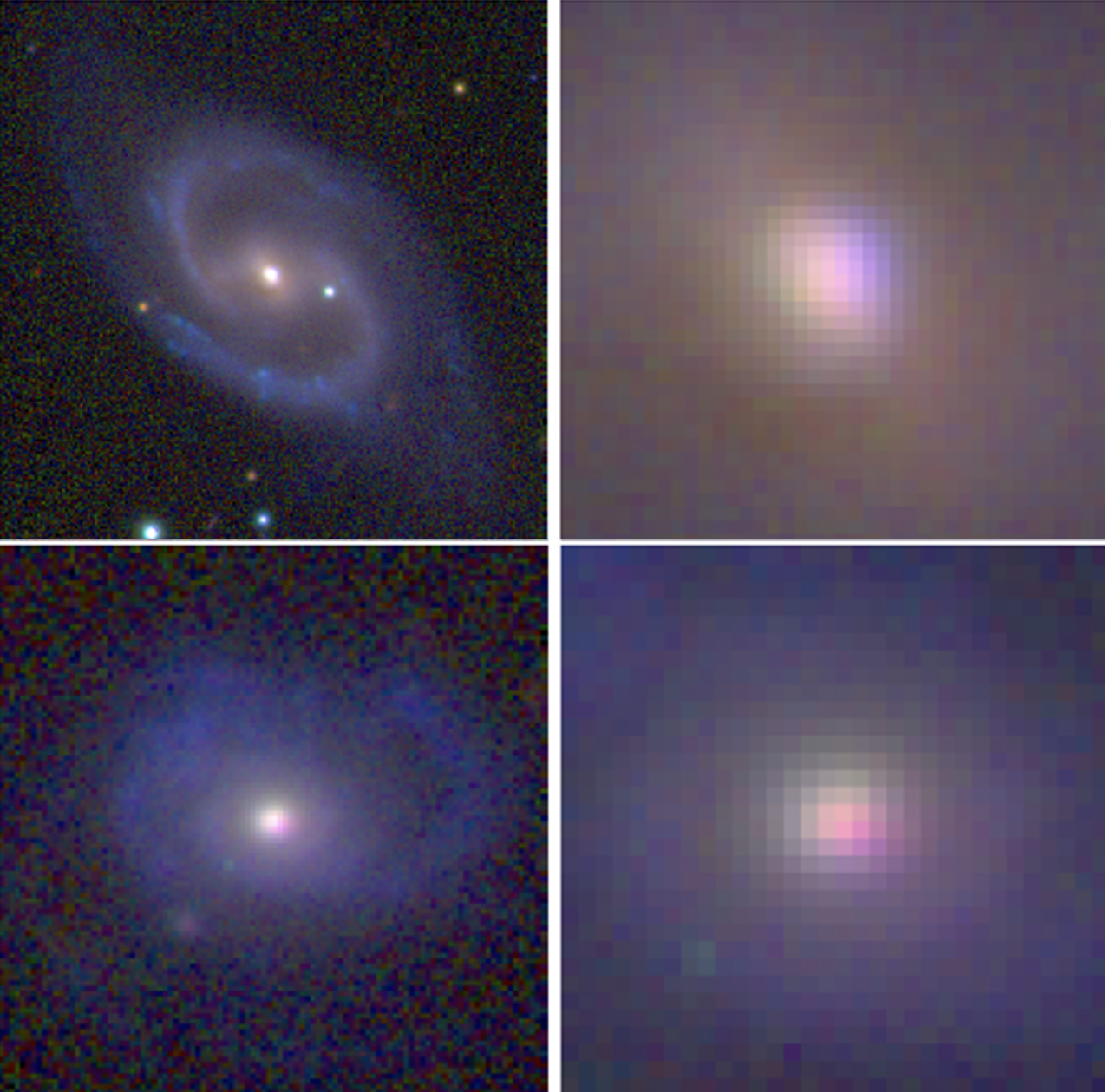 Figure 2 : Images en couleur de deux galaxies spirales, PGC0023028 (panneaux du haut) et PGC0033792 (panneaux du bas), montrant que leurs bras spiraux sont plus bleus que leur disque interne, et que leurs bulbes rouges. Pour chaque galaxie, la galaxie entière est montrée (à gauche), ainsi qu'un agrandissement de sa région centrale (à droite). Les images agrandies révèlent que les bulbes présentent également des variations de couleur, interprétés comme un rougissement et une diffusion de la lumière du bulbe par la chute de nuages de gaz poussiéreux.