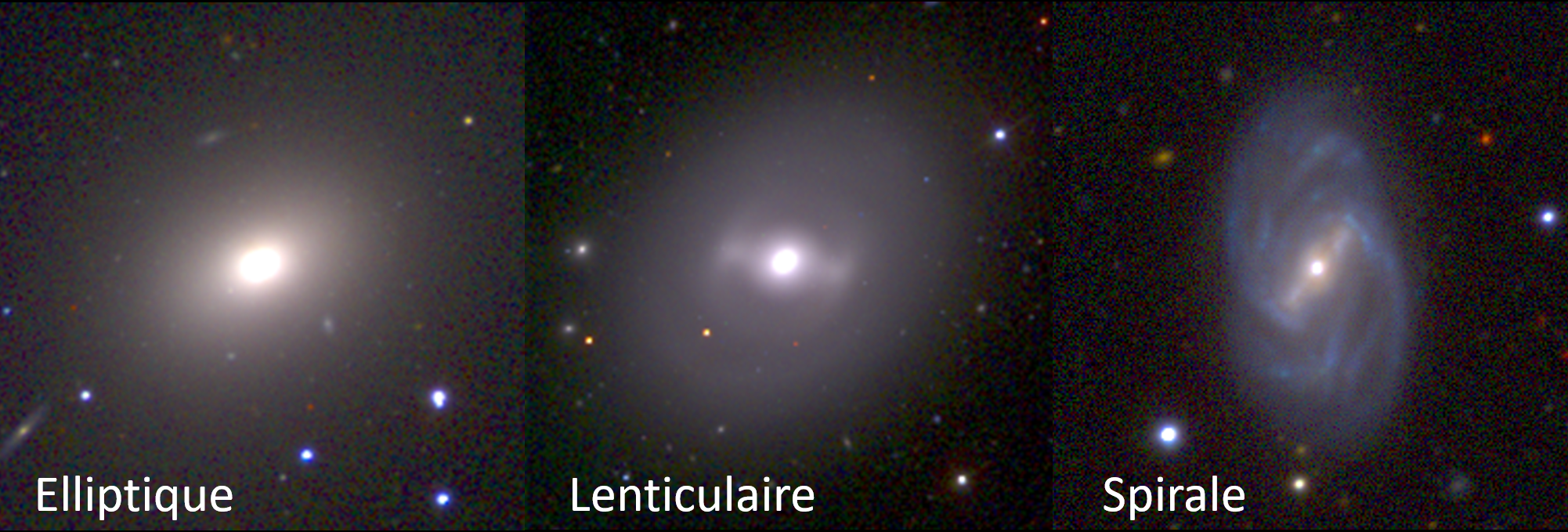 Figure 1 : Les trois principaux types morphologiques de galaxies de la séquence de Hubble : elliptique, lenticulaire et spirale. Les galaxies lenticulaires et spirales possèdent un bulbe central dense entouré d'un disque, tandis que les galaxies elliptiques sont dominées par une composante analogue à un bulbe.